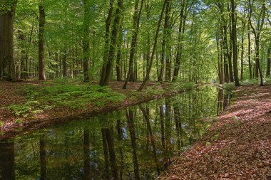 Taç Estates Apeldoorn palace park parçası
