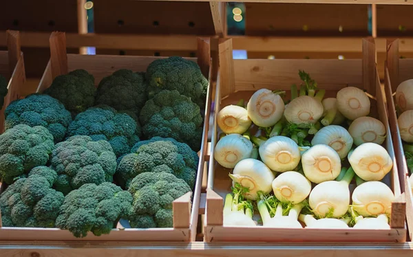 Hinojo y brócoli en cajas — Foto de Stock