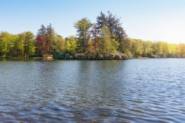 Apeldoorn 'daki Het Loo Parkı