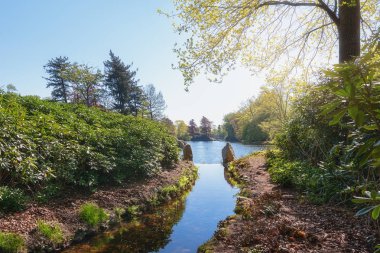 Apeldoorn 'daki Het Loo Parkı