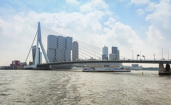 Erasmusbrug 也称为天鹅桥在鹿特丹桥 — 图库照片