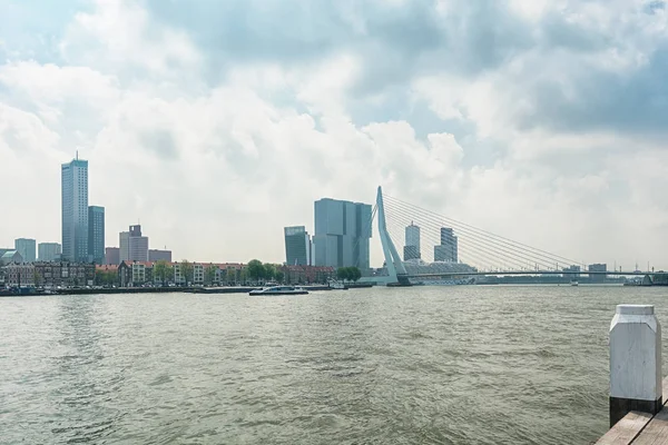 Le pont Erasmusbrug aussi connu sous le nom de pont des cygnes à Rotterdam — Photo