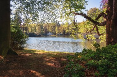 Apeldoorn Loo Parkı 
