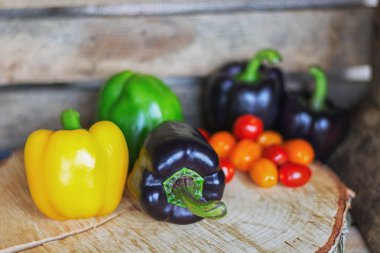 Paprika'nın ve kiraz domates bir disk üzerindeki siyah, sarı, yeşil 