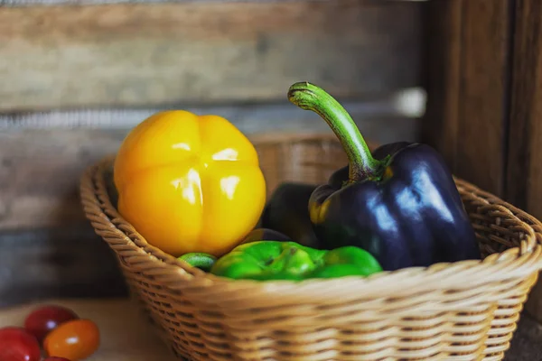 Pimentón negro, verde y amarillo en una canasta de mimbre . — Foto de Stock