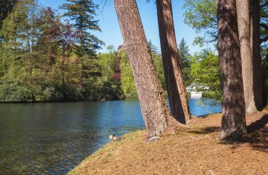 Apeldoorn Loo Parkı 