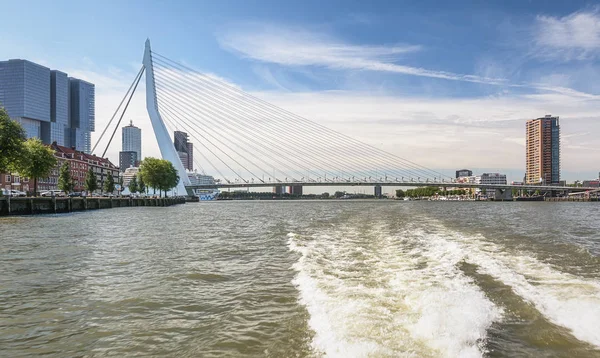 Erasmus bridge and for the building the Rotterdam along the Wilh — Stock Photo, Image