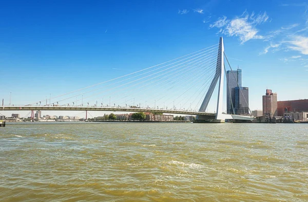 鹿特丹Erasmus桥 — 图库照片