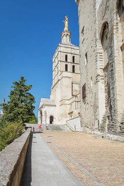 Avignon Katedrali Avignon Papalık Sarayı yanında