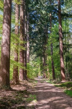 Apeldoorn Loo Parkı 
