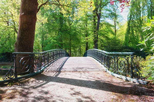 Dekoratív híd a vécé park — Stock Fotó