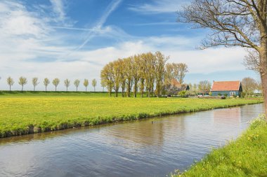 Ağaçlar ve çiftlik evinde Beemster Polder bir sıra ile hazne