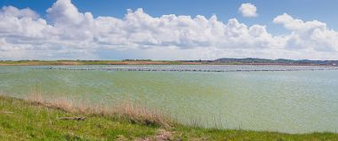 Doğa rezerv de Putten Hollanda ile yapay çevre düzenlemesi Adaları kuşlar için bir zemin ıslahı uygun