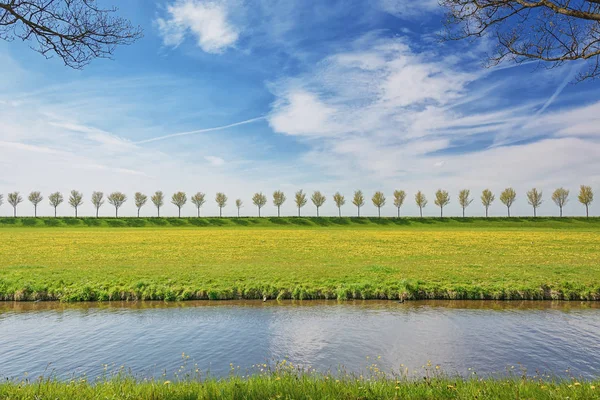 Beemster Polder ağaçlarda bir sıra ile hazne