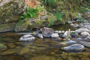 Ardèche Nehri'nin küçük dalgalanan yan dere