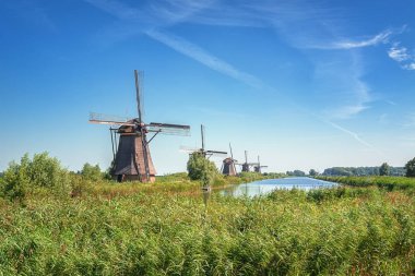 Doğal, güzel Hollanda yel