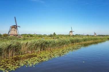 Doğal, güzel Hollanda yel