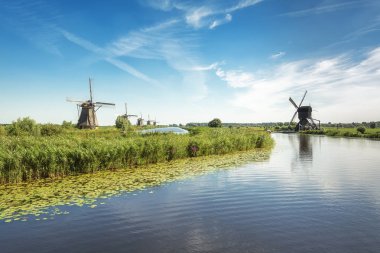 Doğal, güzel Hollanda yel