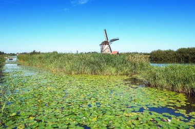 Bir güzel Hollanda yel, doğal