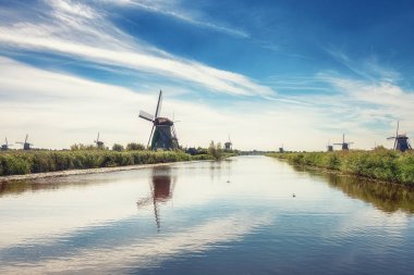 Doğal, güzel Hollanda yel