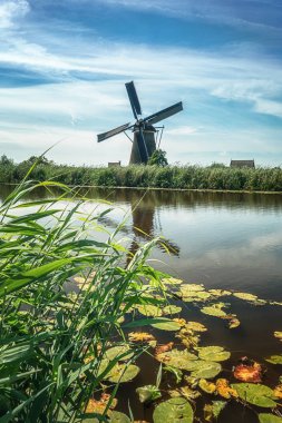 Bir güzel Hollanda yel, doğal