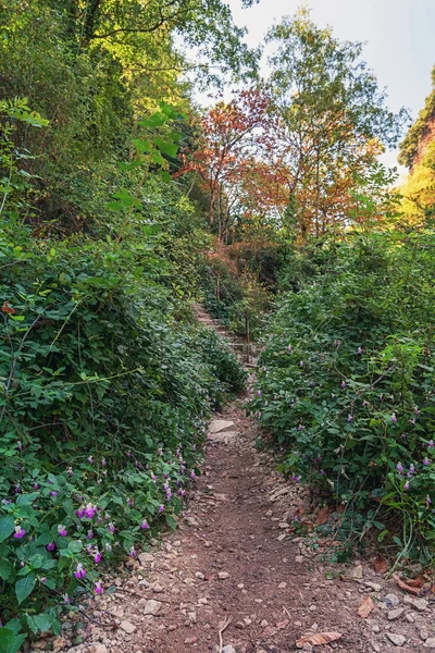 Hiking trail along the river Ardeche — Stock Photo, Image