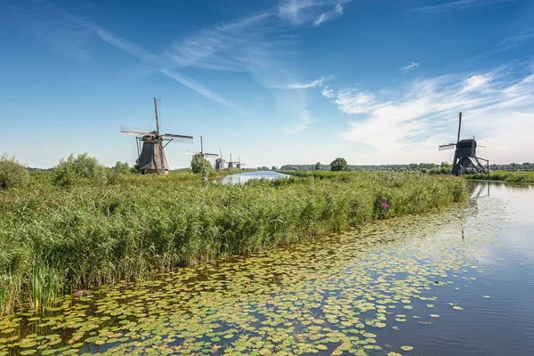 Die schönen holländischen Windmühlen am Kinderdeich — Stockfoto
