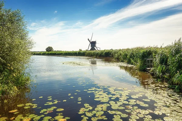 Een van de mooie Nederlandse molens bij Kinderdijk — Stockfoto