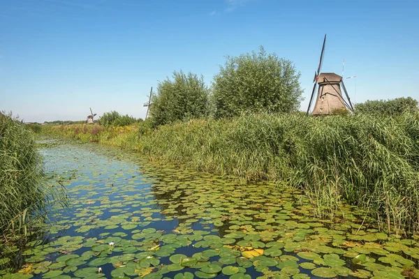 Die schönen holländischen Windmühlen am Kinderdeich — Stockfoto