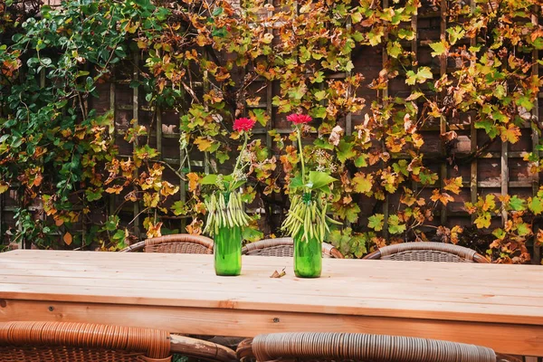 Fasulye ile dekore edilmiş ve Bahçe masada Kırmızı gerbera dolu şişeler.