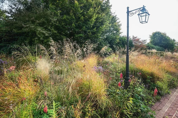 Romantischer Präriegarten in den Niederlanden — Stockfoto