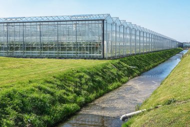 Hollanda'da büyük bir sera dışına