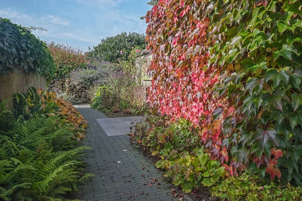 Fußweg Durch Den Garten Schönen Herbstfarben — Stockfoto