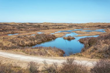 Biraz hayal gücü ile Hollanda kıvrımlarına görebileceğiniz dune fen.