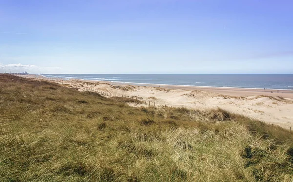 La playa del Mar del Norte cerca de Bloemendaal en los Países Bajos — Foto de Stock