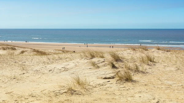 La playa del Mar del Norte entre Ijmuiden y Bloemendaal en los Países Bajos — Foto de Stock