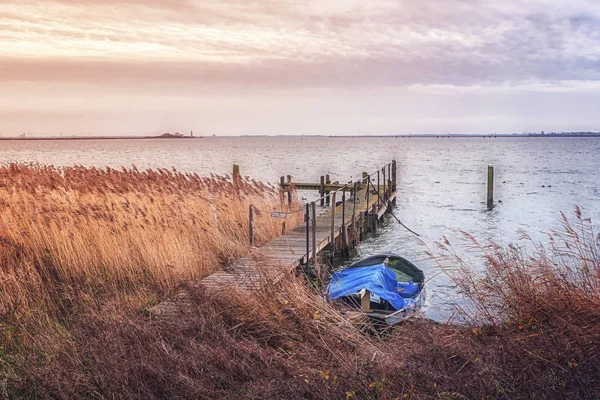 Boot op de oever van het Markermeer in Nederland — Stockfoto