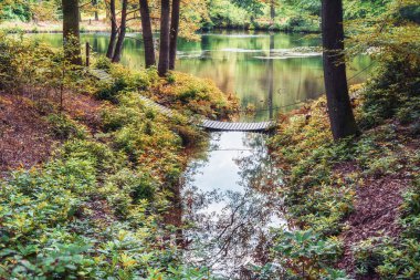 Parkta bir dere üzerinde küçük ahşap asma köprü.