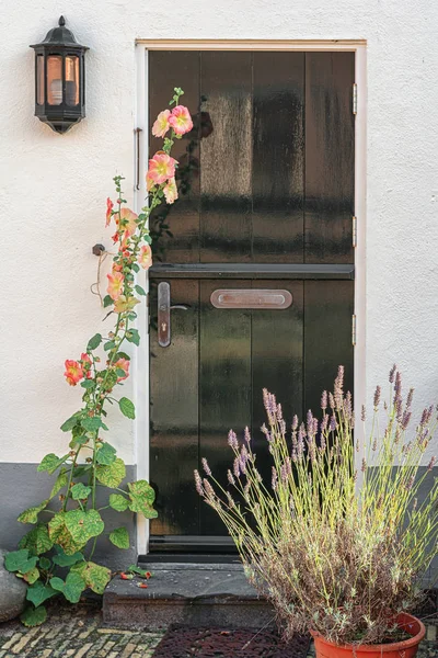 Зеленая дверь в белой штукатурке стены с цветущими цветами перед — стоковое фото