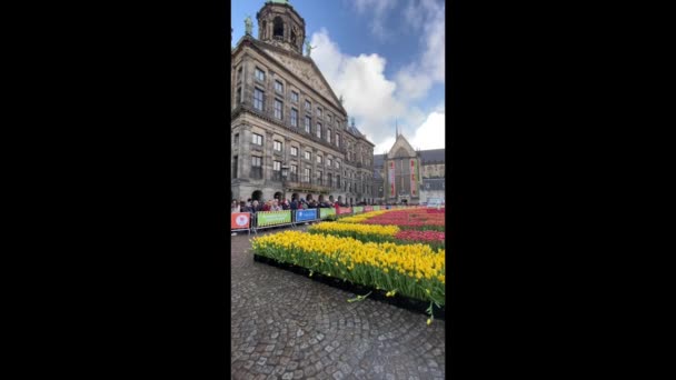 荷兰阿姆斯特丹 2020年1月18日 每年1月 在阿姆斯特丹大坝广场的全国郁金香日期间 都会举行郁金香季的正式开球仪式 — 图库视频影像