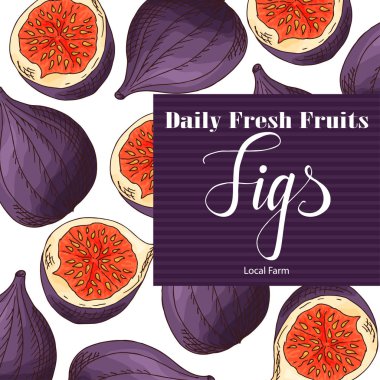 Renkli vektör çizim. Meyve ile gıda tasarım. El incir çizilmiş kroki. Kafe, Pazar için kart veya poster tasarımı için organik taze ürün.