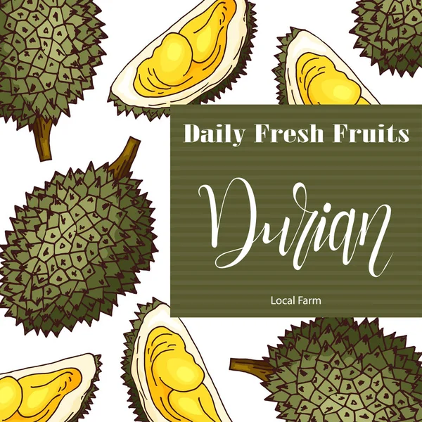 Elemento de fruta vectorial de durian. Icono dibujado a mano con letras. Ilustración de alimentos para café, mercado, diseño de menú — Vector de stock