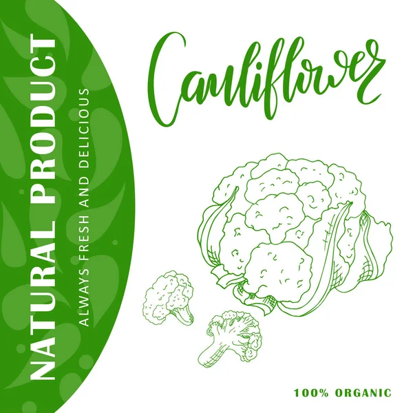 Colorido boceto vegetal. Cartel de comida saludable. Diseño de mercado de granjeros con carniflower. Ilustración vectorial — Vector de stock