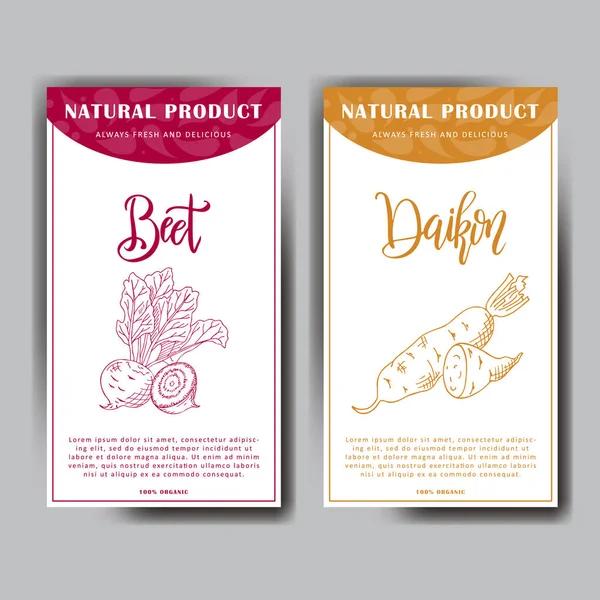 Lebensmitteldesign mit Gemüse. Handgezeichnete Skizze von Rüben und Daikon. Bio-Frischprodukt für die Karte oder Plakatgestaltung für das Café. Bunte Vektorillustration — Stockvektor