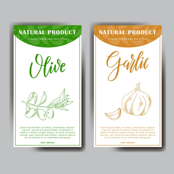 Set de pegatinas con ilustración vegetariana dibujada a mano. Elementos vegetales de oliva y ajo. Boceto vectorial para tarjeta o póster — Vector de stock