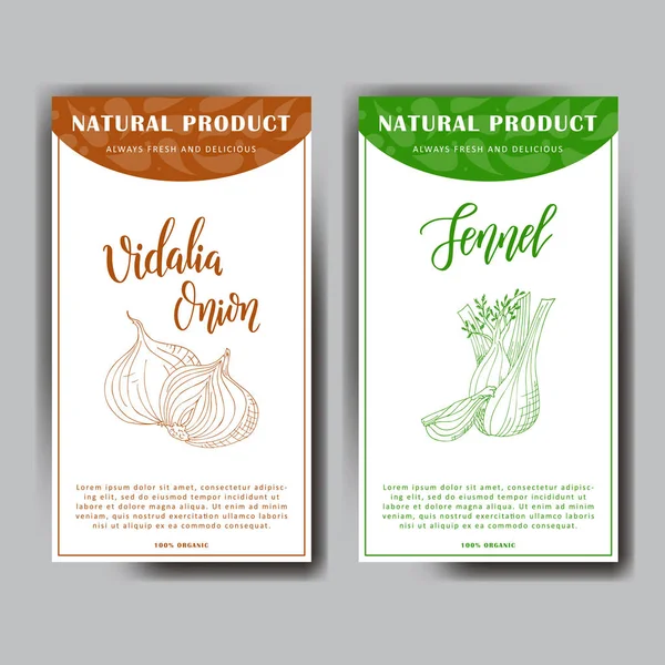 Colorido boceto vegetal. Cartel de comida saludable. Los agricultores comercializan diseño con cebolla vidalia e hinojo. Ilustración vectorial . — Vector de stock