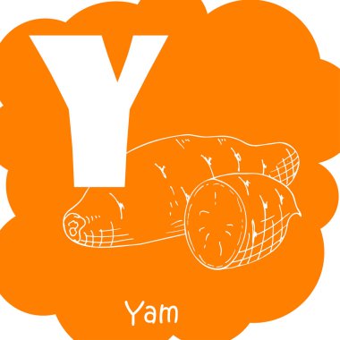 Eğitim için vektör sebze alfabe. Çizim çocuklar için. Yam için Y harfi.