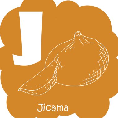 Alfabe sebze ile çocuklar için. Sağlıklı abc harf J-Jicama.