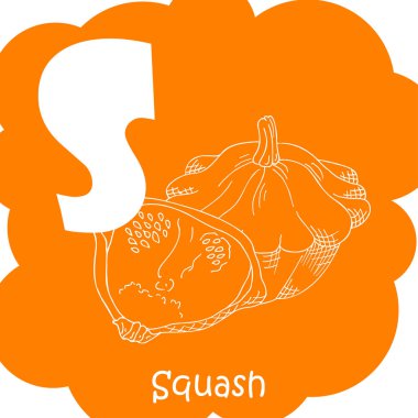 Alfabe sebze ile çocuklar için. Sağlıklı abc Harf S-Squash
