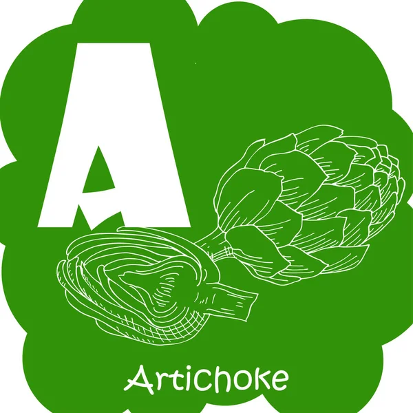 Alfabeto vegetal vetorial de educação. Ilustração para crianças. Carta A para alcachofra . —  Vetores de Stock